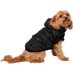Frisco Heavy Weight Matte Quilted Volume Dog & Cat Puffer -Frisco Pet Hub 719750 PT2. AC SS1800 V1703184628