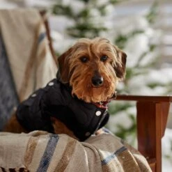 Frisco Heavy Weight Matte Quilted Volume Dog & Cat Puffer -Frisco Pet Hub 719750 PT7. AC SS1800 V1692377763