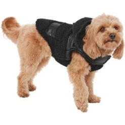 Frisco Medium Weight Faux Leather Dog & Cat Parka With Faux Fur Trimmed Hood, Black 2 Frisco Medium Weight Faux Leather Dog & Cat Parka With Faux Fur Trimmed Hood, Black -Frisco Pet Hub 719798 PT2. AC SS1800 V1703184628