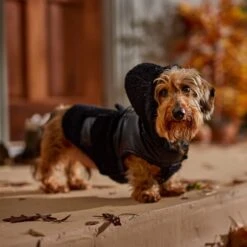 Frisco Medium Weight Faux Leather Dog & Cat Parka With Faux Fur Trimmed Hood, Black 6 Frisco Medium Weight Faux Leather Dog & Cat Parka With Faux Fur Trimmed Hood, Black -Frisco Pet Hub 719798 PT7. AC SS1800 V1692376307