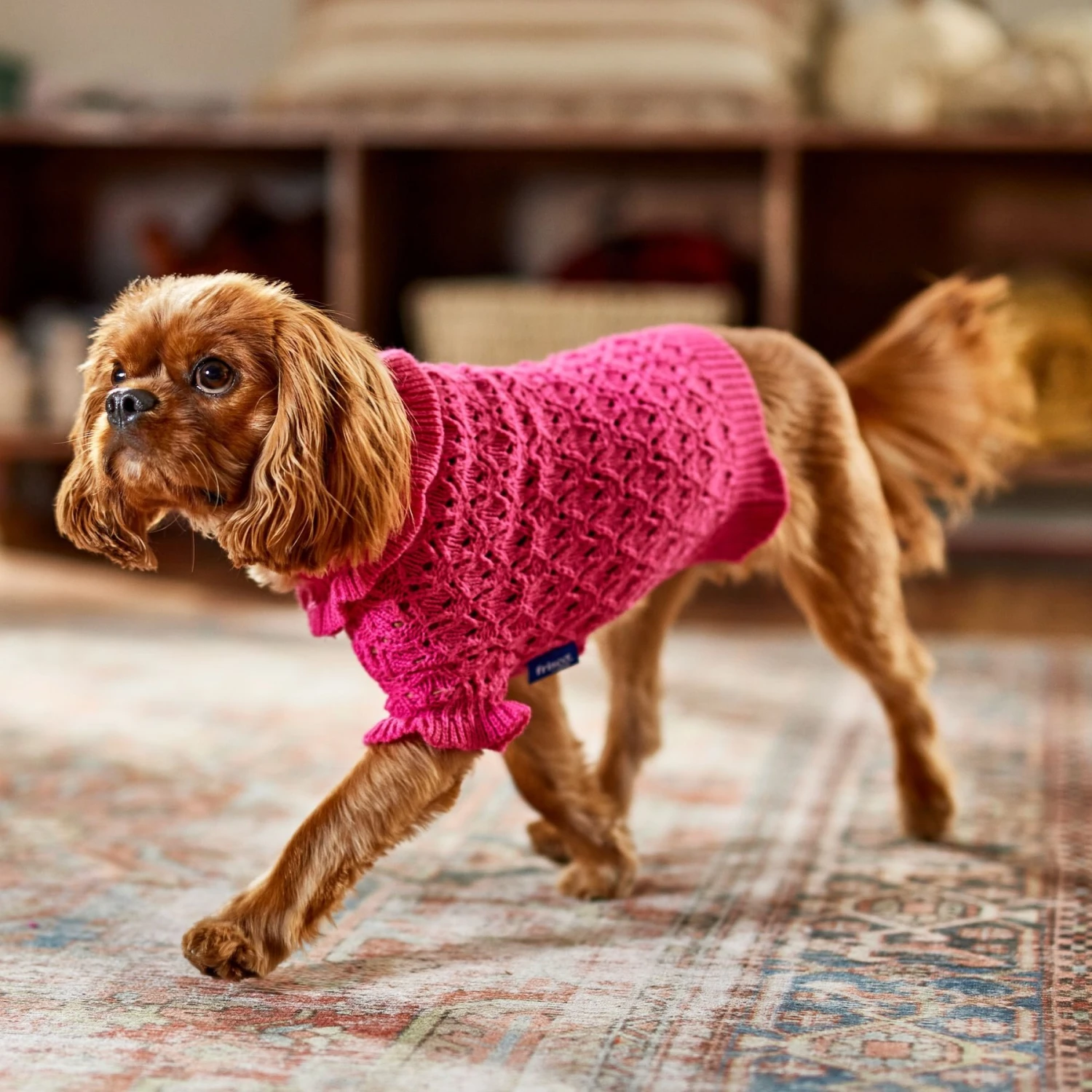 Frisco Ruffle Knit Pointelle Dog & Cat Turtleneck Sweater Frisco Ruffle Knit Pointelle Dog & Cat Turtleneck Sweater -Frisco Pet Hub 720646 PT7. AC SS1800 V1692379033