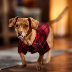 Frisco Red Tartan Plaid Dog & Cat Flannel Shirt -Frisco Pet Hub 720790 PT7. AC SS1800 V1693401090