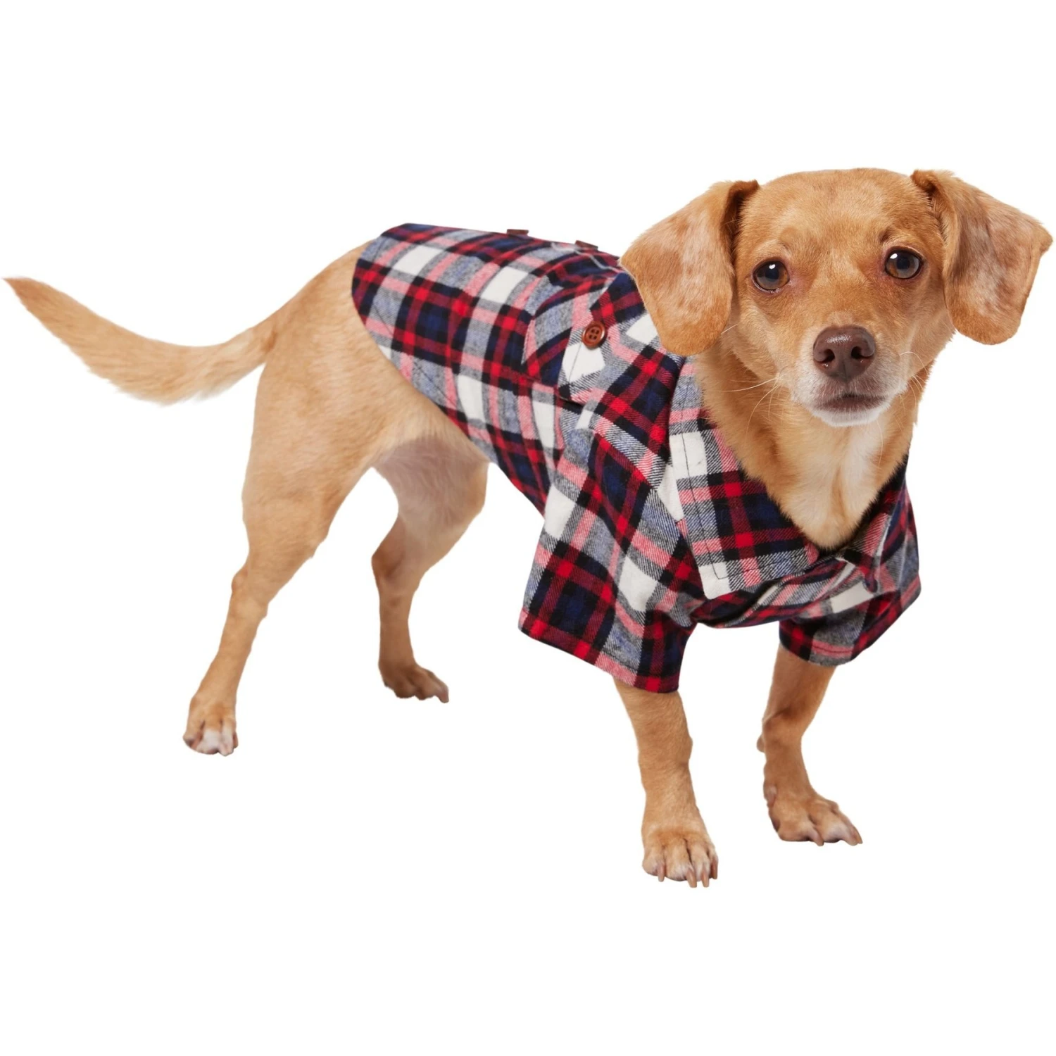 Frisco Red & Blue Plaid Dog & Cat Flannel Shirt Frisco Red & Blue Plaid Dog & Cat Flannel Shirt -Frisco Pet Hub 720838 PT2. AC SS1800 V1703194381