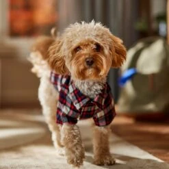 Frisco Red & Blue Plaid Dog & Cat Flannel Shirt 7 Frisco Red & Blue Plaid Dog & Cat Flannel Shirt -Frisco Pet Hub 720838 PT7. AC SS1800 V1693400998
