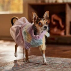 Frisco Rainbow Dog & Cat Sweater Dress -Frisco Pet Hub 720934 PT7. AC SS1800 V1693401665