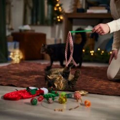 Frisco Holiday Cozy Christmas Sack Variety Pack Cat Toy With Catnip 3 Frisco Holiday Cozy Christmas Sack Variety Pack Cat Toy With Catnip -Frisco Pet Hub 740054 PT3. AC SS1800 V1694812461