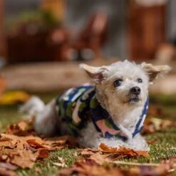 Frisco Medium Weight Urban City Camo Printed Dog & Cat Hooded Coat -Frisco Pet Hub 742358 PT7. AC SS1800 V1692376368