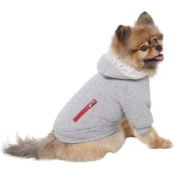 Frisco Sweatshirt Fleece Dog & Cat Hoodie With Sherpa Lining 2 Frisco Sweatshirt Fleece Dog & Cat Hoodie With Sherpa Lining -Frisco Pet Hub 742550 PT2. AC SS1800 V1703194378