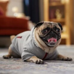 Frisco Sweatshirt Fleece Dog & Cat Hoodie With Sherpa Lining 7 Frisco Sweatshirt Fleece Dog & Cat Hoodie With Sherpa Lining -Frisco Pet Hub 742550 PT7. AC SS1800 V1692378690