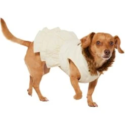 Frisco Medium Weight Quilted Ruffle Tiered Dog & Cat Dress -Frisco Pet Hub 744262 PT2. AC SS1800 V1703194436