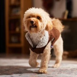 Frisco Medium Weight Quilted Dog & Cat Coat With Cozy Sherpa Lining -Frisco Pet Hub 744310 PT7. AC SS1800 V1692375981