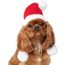 Frisco Chunky Knit Santa Dog & Cat Hat -Frisco Pet Hub 744878 PT2. AC SS1800 V1694812755