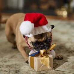 Frisco Chunky Knit Santa Dog & Cat Hat -Frisco Pet Hub 744878 PT5. AC SS1800 V1694793814