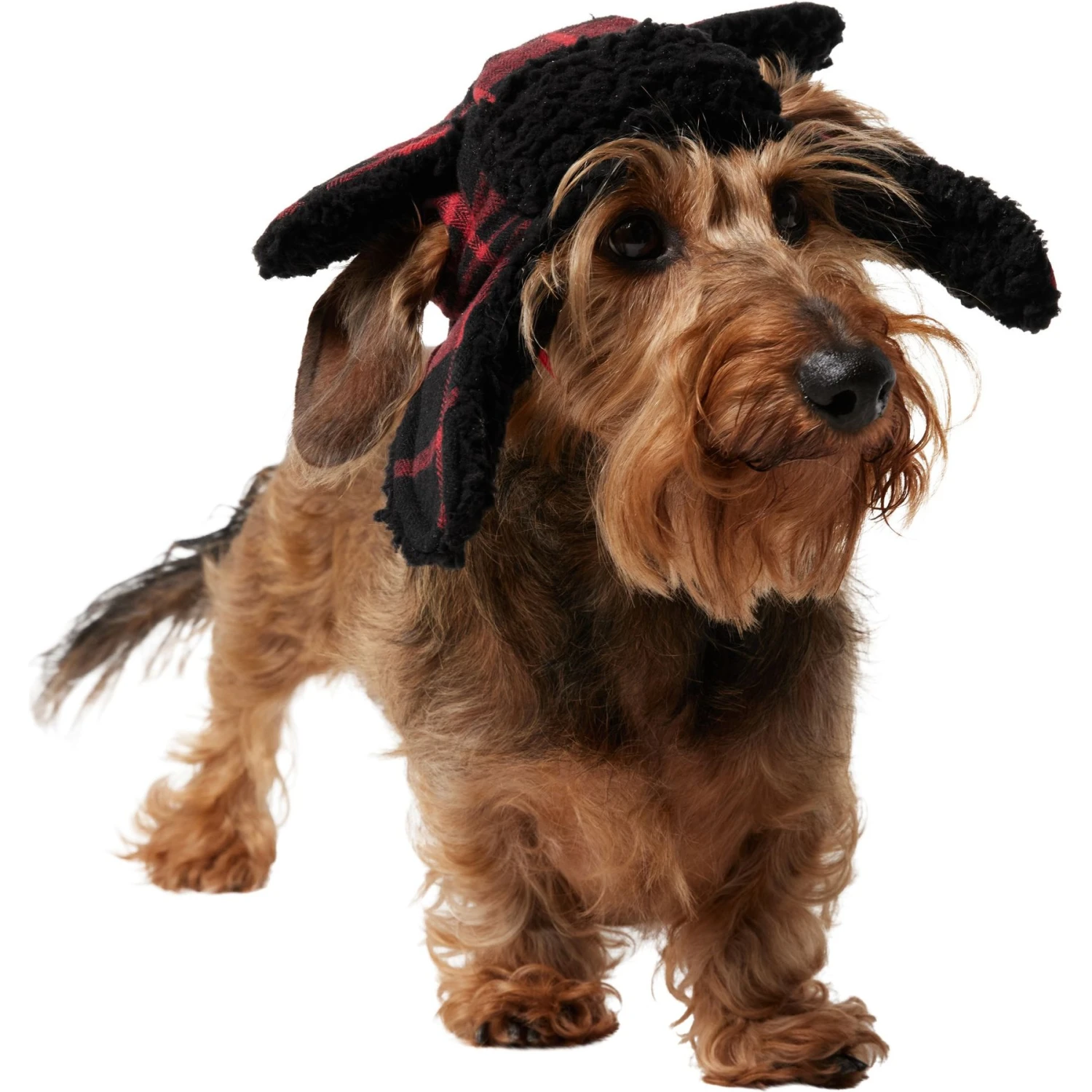 Frisco Tartan Plaid Dog & Cat Trapper Hat Frisco Tartan Plaid Dog & Cat Trapper Hat -Frisco Pet Hub 746750 PT2. AC SS1800 V1694799890