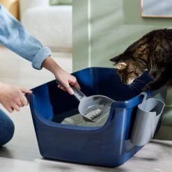 Frisco Open Top Cat Litter Box With Rim, Large & Frisco Plastic Litter Scooper With Caddy 5 Frisco Open Top Cat Litter Box With Rim, Large & Frisco Plastic Litter Scooper With Caddy -Frisco Pet Hub 947526 PT5. AC SS1800 V1693924259