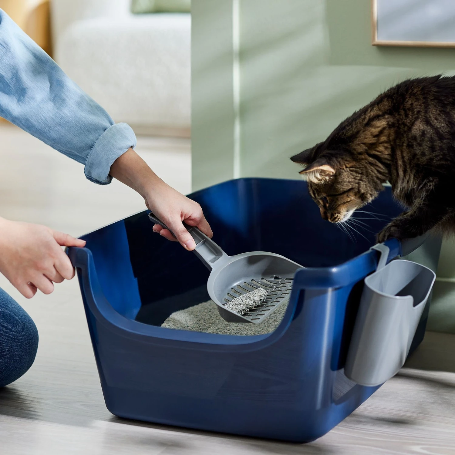 Frisco Open Top Cat Litter Box With Rim, Large & Frisco Plastic Litter Scooper with Caddy Frisco Open Top Cat Litter Box With Rim, Large & Frisco Plastic Litter Scooper With Caddy -Frisco Pet Hub 947526 PT5. AC SS1800 V1693924259