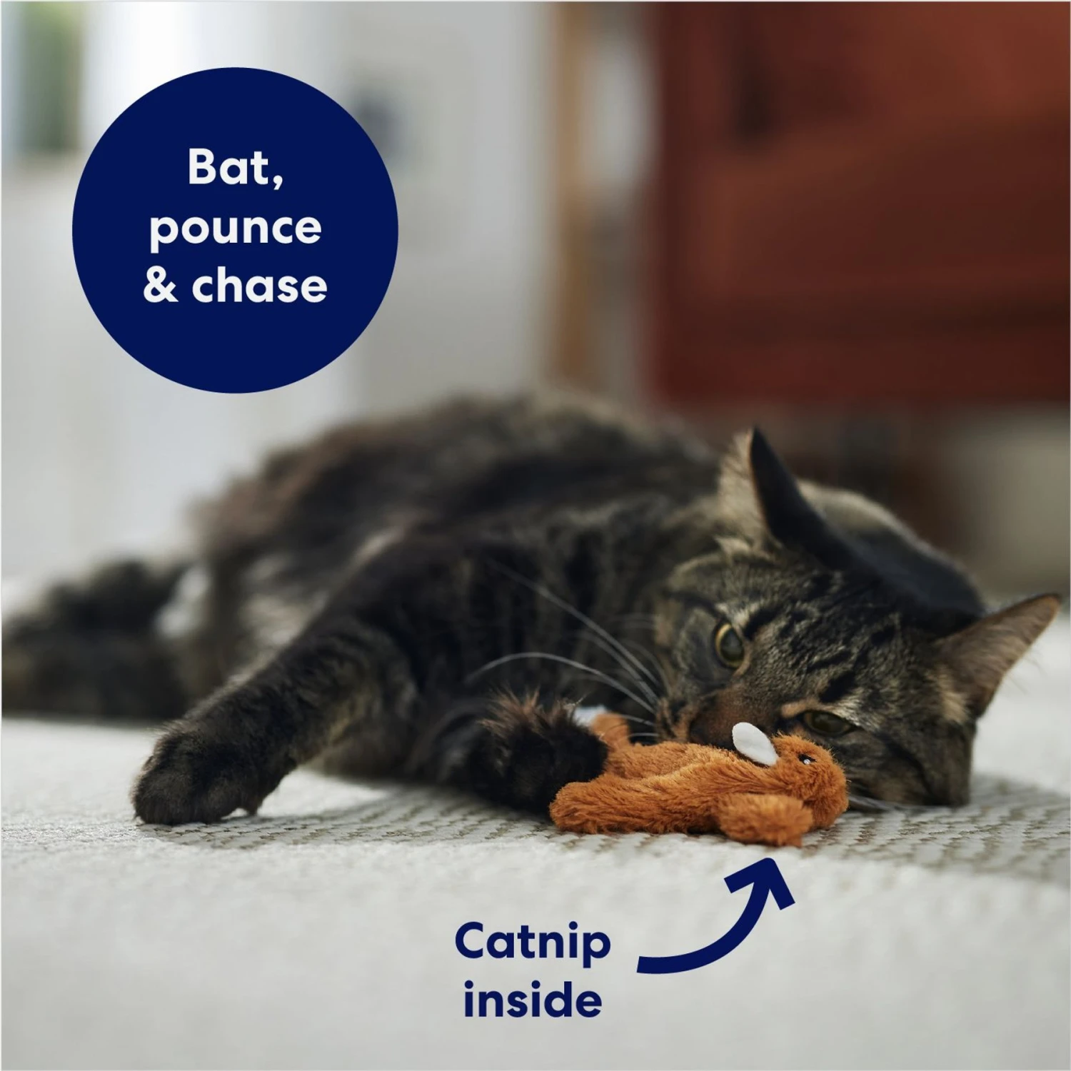 Frisco Squirrel Plush Cat Toy with Refillable Catnip & Frisco Bird with Feathers Teaser Wand Cat Toy with Catnip Frisco Squirrel Plush Cat Toy With Refillable Catnip & Frisco Bird With Feathers Teaser Wand Cat Toy With Catnip -Frisco Pet Hub 962030 PT3. AC SS1800 V1694783954