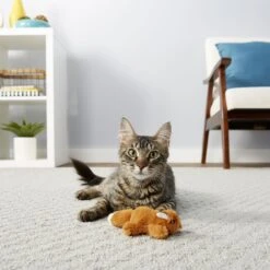 Frisco Squirrel Plush Cat Toy With Refillable Catnip & Frisco Bird With Feathers Teaser Wand Cat Toy With Catnip 4 Frisco Squirrel Plush Cat Toy With Refillable Catnip & Frisco Bird With Feathers Teaser Wand Cat Toy With Catnip -Frisco Pet Hub 962030 PT4. AC SS1800 V1694783955