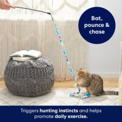 Frisco Fabric Teaser Wand Cat Toy & Frisco Bird With Feathers Teaser Wand Cat Toy With Catnip -Frisco Pet Hub 962094 PT3. AC SS1800 V1694782977