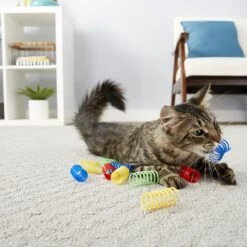 Frisco Colorful Springs Cat Toy & Frisco Bird With Feathers Teaser Wand Cat Toy With Catnip -Frisco Pet Hub 962126 PT4. AC SS1800 V1694782923