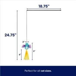 Frisco Colorful Springs Cat Toy & Frisco Bird With Feathers Teaser Wand Cat Toy With Catnip -Frisco Pet Hub 962126 PT6. AC SS1800 V1694782921
