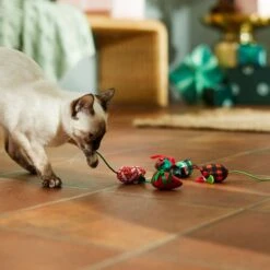 Frisco Holiday Moppy Ball Cat Toy With Catnip, 3 Count & Frisco Holiday Mice Cat Toy With Catnip, 5 Count 7 Frisco Holiday Moppy Ball Cat Toy With Catnip, 3 Count & Frisco Holiday Mice Cat Toy With Catnip, 5 Count -Frisco Pet Hub 986150 PT7. AC SS1800 V1698258116