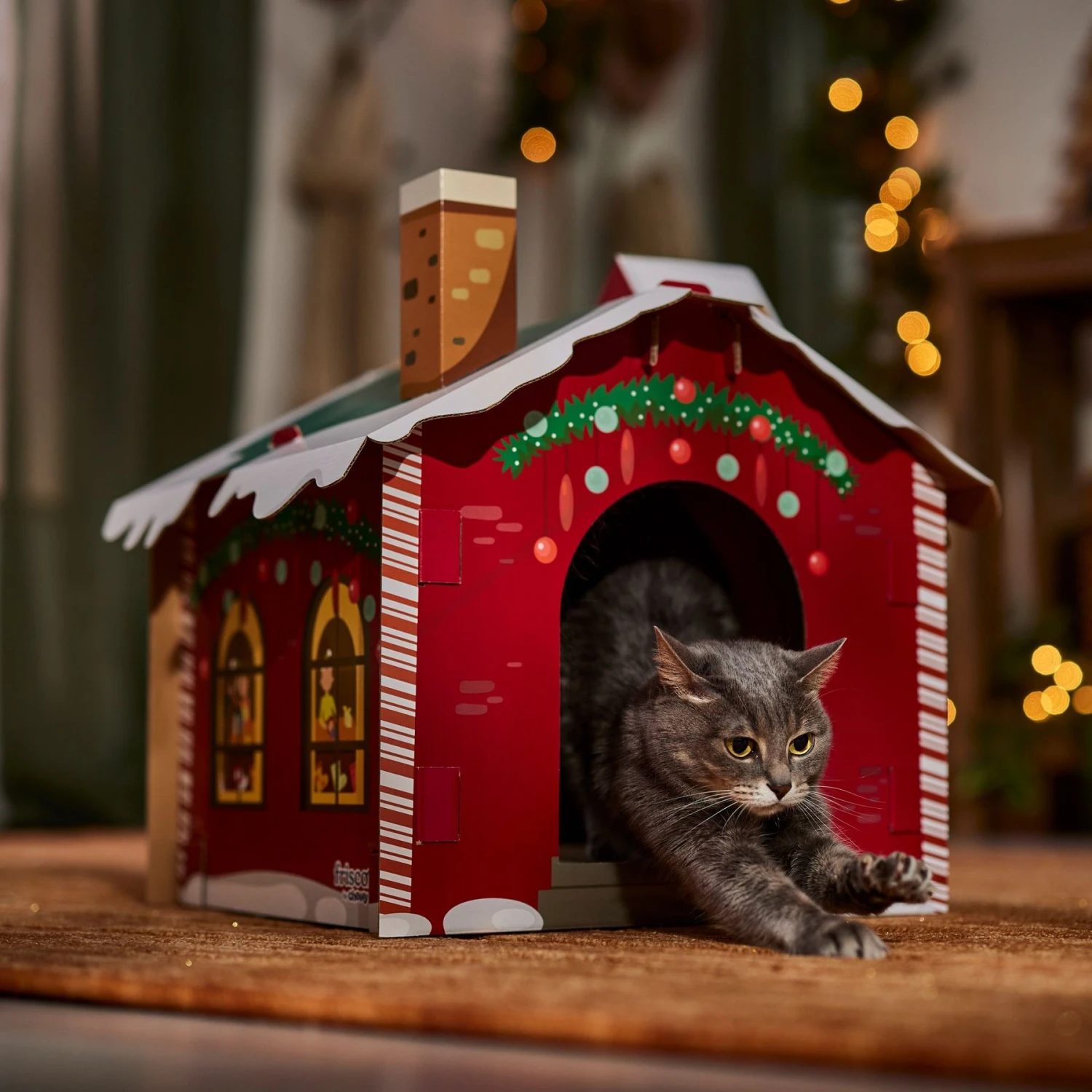 Frisco Holiday Christmas Tree Cardboard Cat House & Frisco Holiday Santa's Workshop Cardboard Cat House Frisco Holiday Christmas Tree Cardboard Cat House & Frisco Holiday Santa's Workshop Cardboard Cat House -Frisco Pet Hub 986190 PT8. AC SS1800 V1698258406